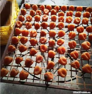 广西桂林平乐桥亭【柿饼之乡】2025年纯手工制作、无任何添加剂的第一批柿饼准备上市了，欢迎联系订购！ - 来宾28生活网 lb.28life.com