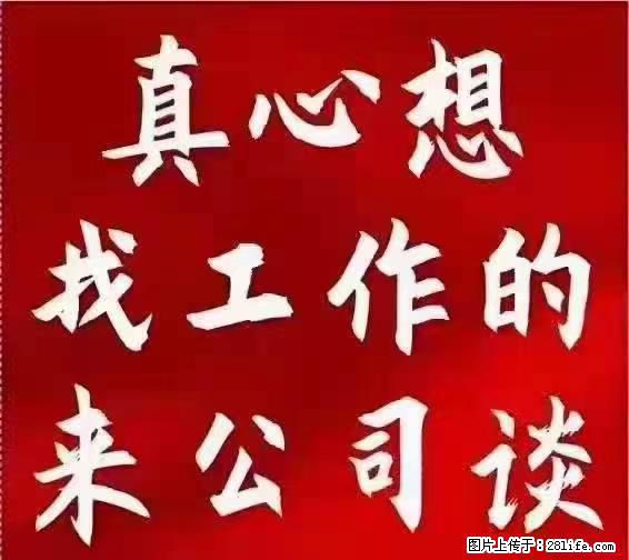 【上海】国企，医院招两名男保安，55岁以下，身高1.7米以上，无犯罪记录不良嗜好 - 职场交流 - 来宾生活社区 - 来宾28生活网 lb.28life.com