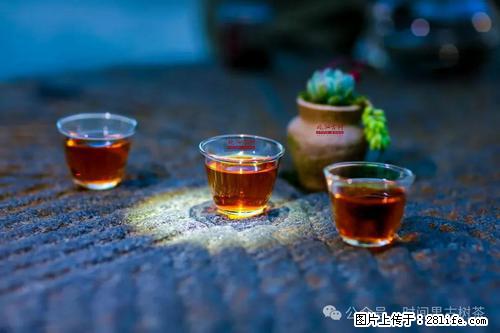 时间果百年古树2025年春红茶 - 购物交流 - 来宾生活社区 - 来宾28生活网 lb.28life.com