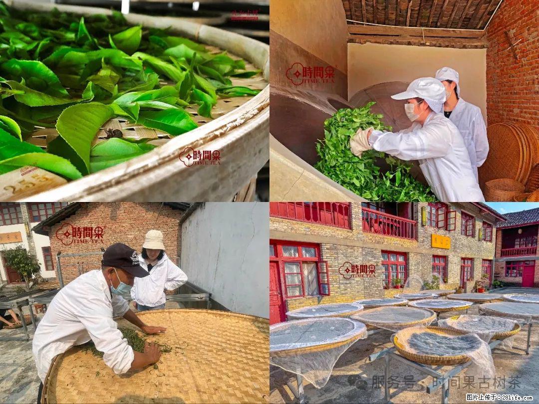 时间果百年古树龙珠普洱生茶 - 购物交流 - 来宾生活社区 - 来宾28生活网 lb.28life.com