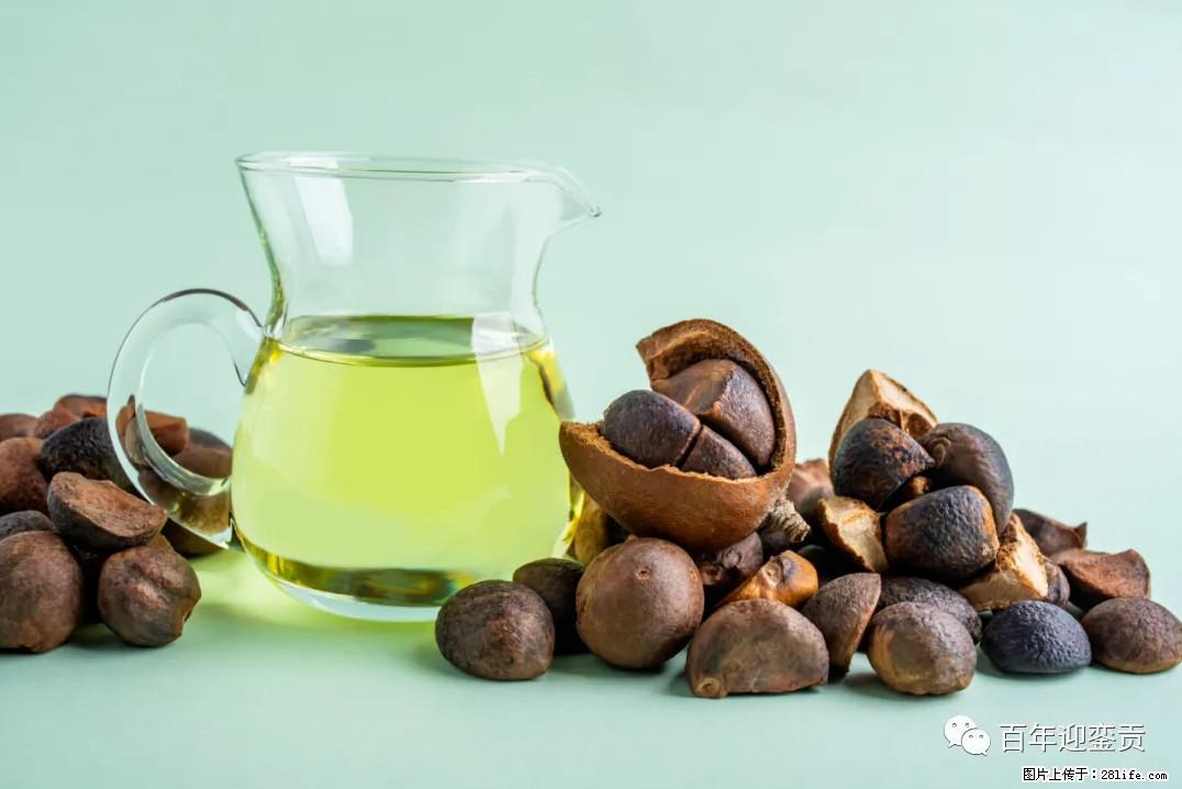 世界没有真相，只有认知，最好的食用油是中国的山茶油！ - 来宾生活资讯 - 来宾28生活网 lb.28life.com