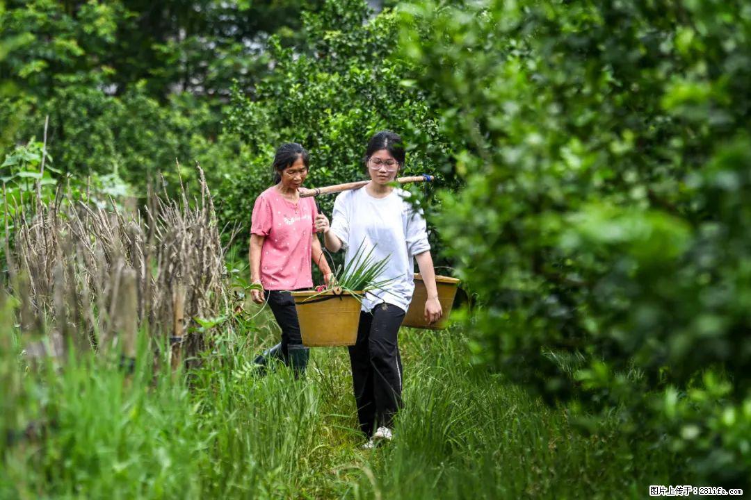 全网追的“扁担女孩”,找了一份暑假工,时薪12元 - 来宾生活资讯 - 来宾28生活网 lb.28life.com