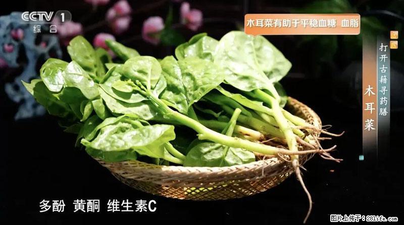 比牛奶补钙还厉害!凉血解毒、稳血糖...这菜冬天必吃,很多人却当草 - 来宾生活资讯 - 来宾28生活网 lb.28life.com