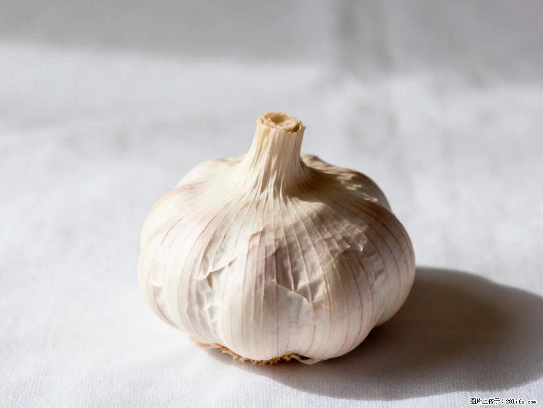 关于大蒜，除了“天然抗生素”，这4个谣言更该警惕! - 来宾生活资讯 - 来宾28生活网 lb.28life.com