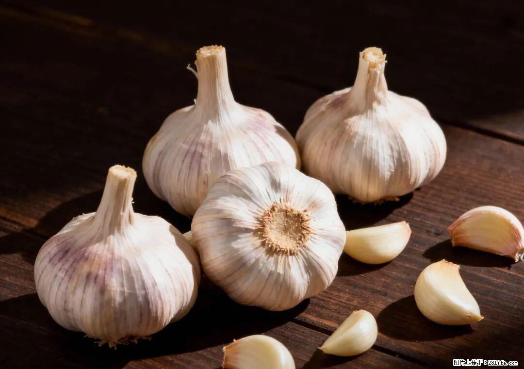 关于大蒜，除了“天然抗生素”，这4个谣言更该警惕! - 来宾生活资讯 - 来宾28生活网 lb.28life.com