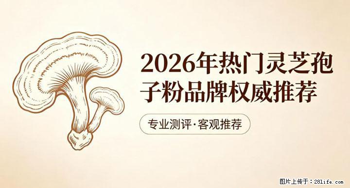 灵芝孢子粉含量越高越有效？2026 年七款热门品牌深度实测，肠胃敏感者避坑指南 - 来宾生活资讯 - 来宾28生活网 lb.28life.com
